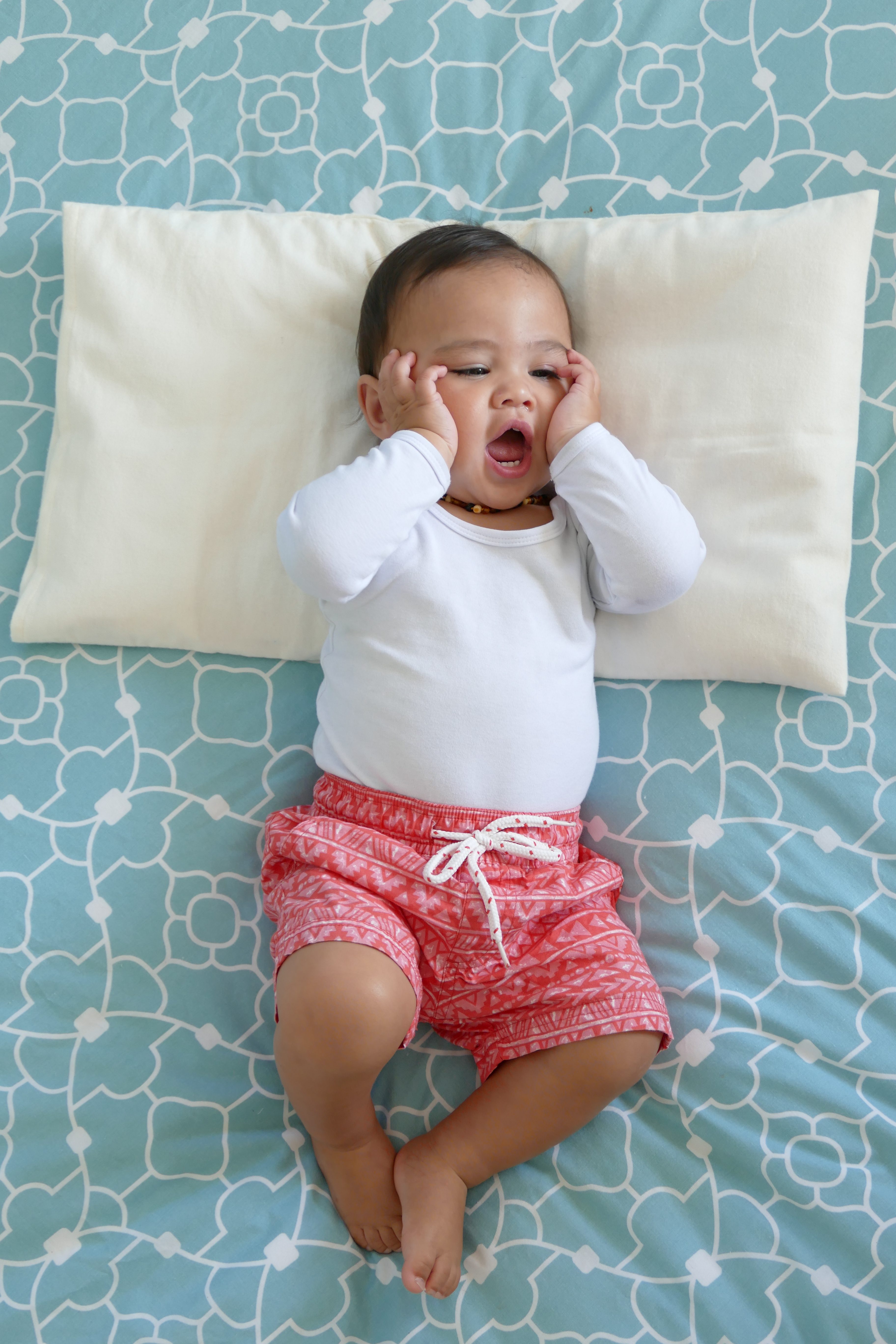 P1020512 Natures Sway